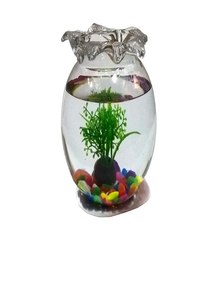 ABG ROUND GLASS TERRARIUM/AQUARIUM VESSEL. ONE UNIT WITH COLORFUL STONES, ONE ARTIFICIAL PLANT AND TWO ARTIFICIAL FISH. 6 INCH - Image 3